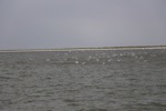 resIMG_20150629_112152_4578.JPG